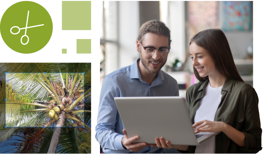 Bildbearbeitung und Zusammenarbeit im Team mit der coconutbox Medienverwaltung