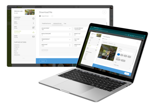 Download- und Ausgabeoptionen für Medien in der coconutbox Software