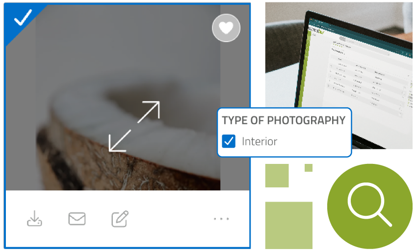 Asset-Auswahl in der coconutbox Medienverwaltung mit Filter- und Download-Funktionen