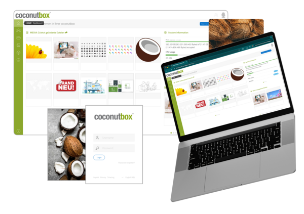 Medienübersicht in der coconutbox Digital Asset Management Software