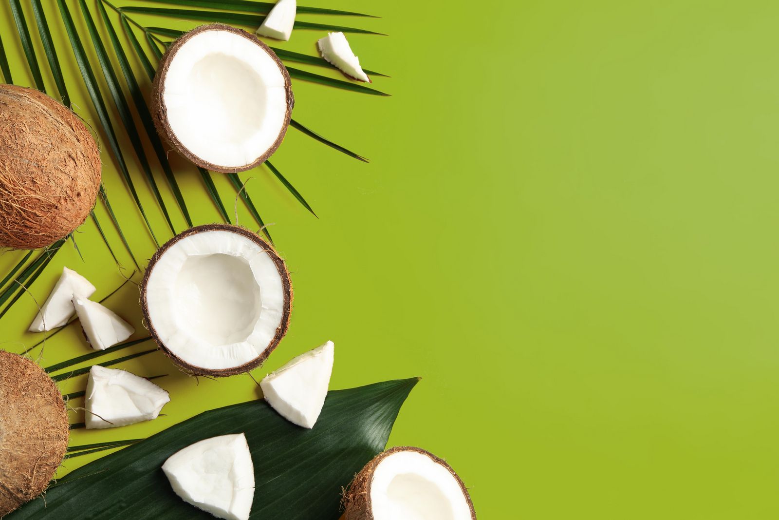 grüner Hintergrund mit verschiedenen Blättern und aufgeschnittenen Kokosnüssen links