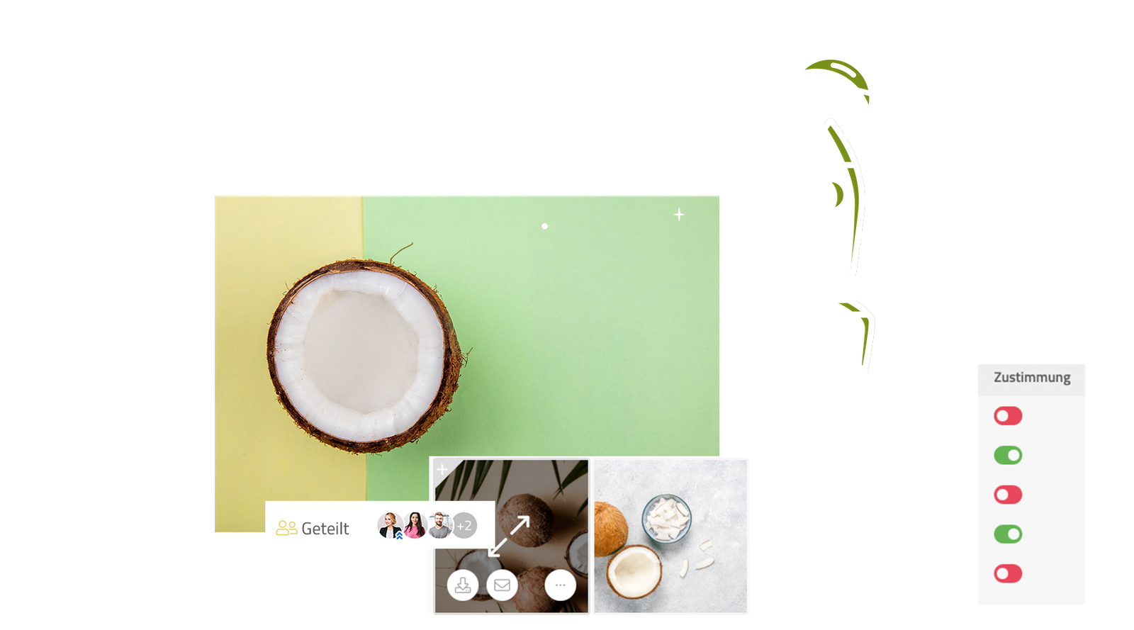 Zustimmungsfunktion fürs Bilderteilen und Kokosnuss auf gelb-grünen Hintergrund