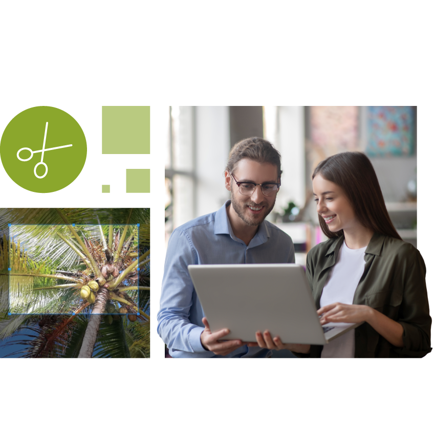 Bildbearbeitung und Zusammenarbeit im Team mit der coconutbox Medienverwaltung