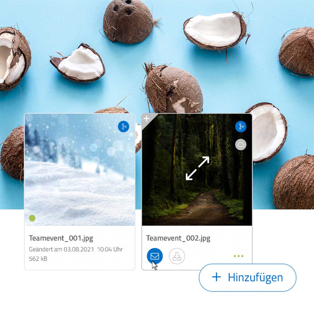 zwei verwaltete Bilder vom Teamevent mit Kokosnüssen im Hintergrund